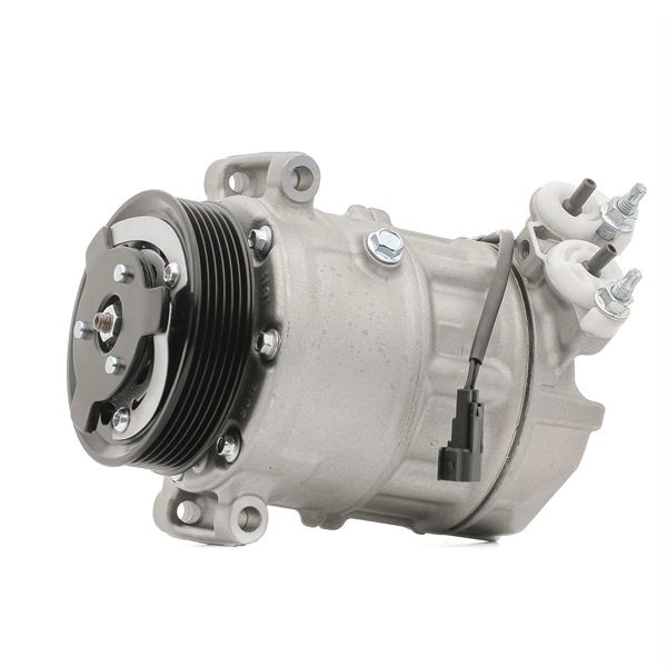 RIDEX 447K0495 Klímakompresszor LAND ROVER Range Rover III (L322) 4.4 D 4x4 313 LE 448DT(DITC)