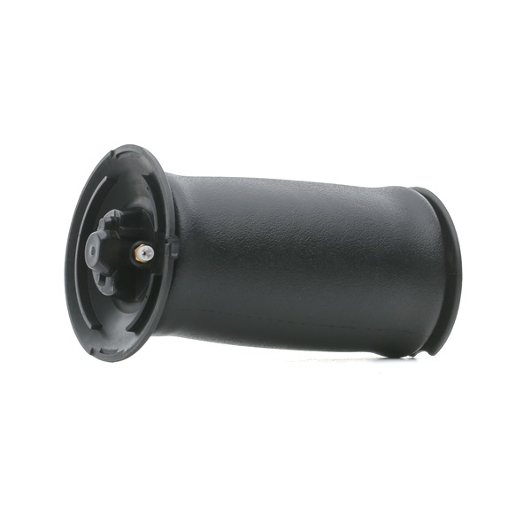 BMW RIDEX Kit suspensão a ar 4119A0044