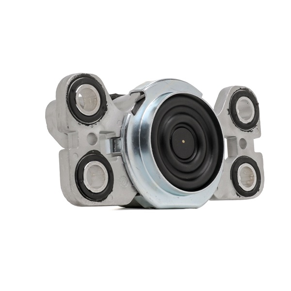 RIDEX 247E0456 Fasce elastiche T6 AWD 249 CV B 5254 T14