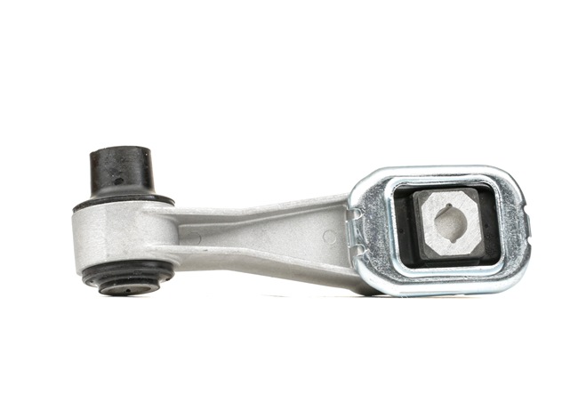 RIDEX 247E0460 Supporto motore Renault Modus / Grand Modus 1.6 112 CV K4M 801