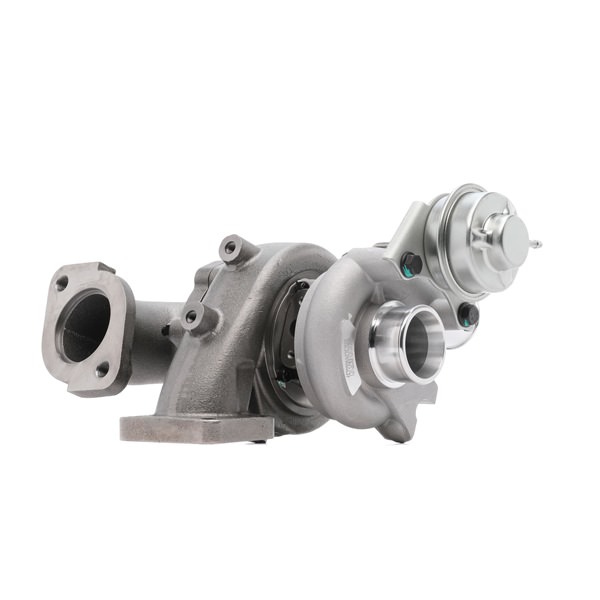RIDEX 2234C0442 Silencieux intermédiaire 2.5 DI-D (KA4T) 178CV 2013