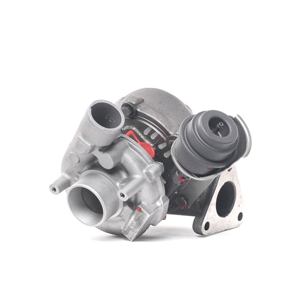 RIDEX REMAN 2234C0495R Turbo Passat 3a5 1.9 TDI 110 cv AFN