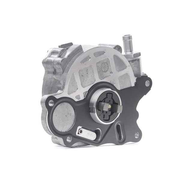 RIDEX 387V0064 Vakuumpumpe for bremsekraftforsterker Audi A6 C6 2.0 TDI 163 hk CAHB