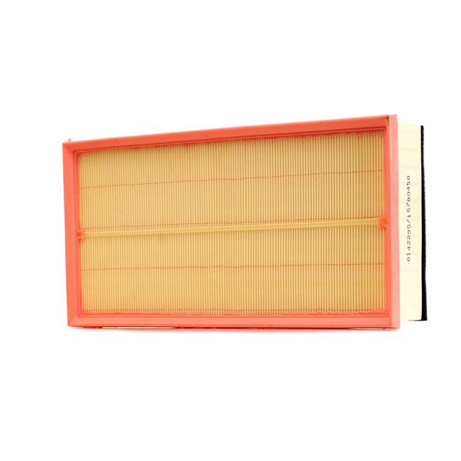 PORSCHE RIDEX Engine filter 8A1613