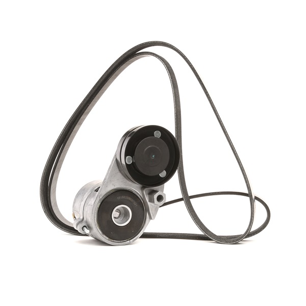 RIDEX 542R0534 Multireim sett Audi A4 8h 2.4 170 hk BDV