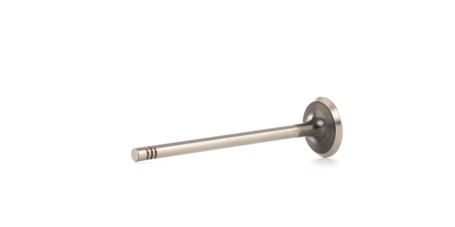 RIDEX 1270O0019 Auslaßventil Opel Corsa B 1.4 i 16V (F08, F68, M68) 90 PS X 14 XE