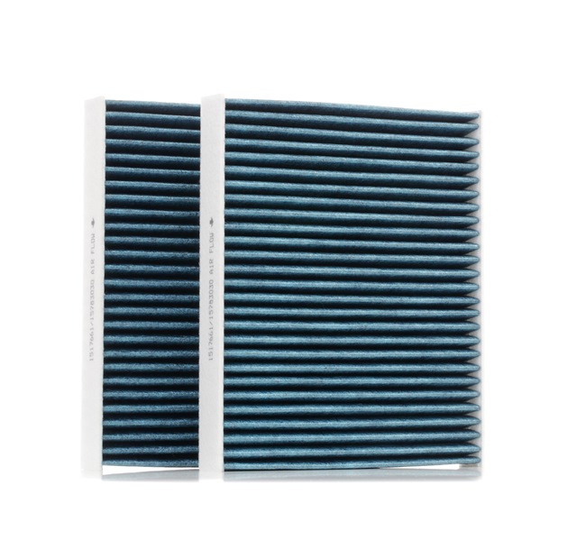 ROLLS-ROYCE RIDEX Kabinenluftfilter 424I0495