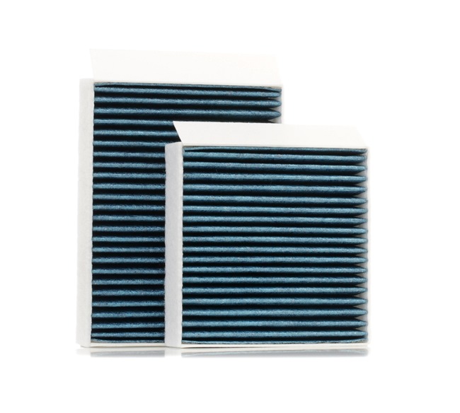 DS STARK Pollenfilter SKIF-0170502