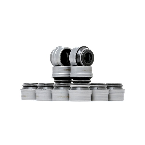 RIDEX 323S0011 Retentor de válvula Fiat Palio Weekend 1.6 16V (178DXD1A) 116 cv 178 B3.000