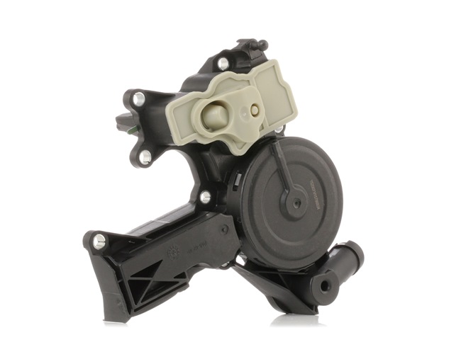 RIDEX 3324O0009 Sekundær luftpumpe 2.0 TFSI quattro 223 hk CAEB
