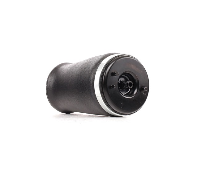 RIDEX 4118A0065 Luftaffjedring komponenter BMW E39 M5 400 HK S62 B50 (508S1)