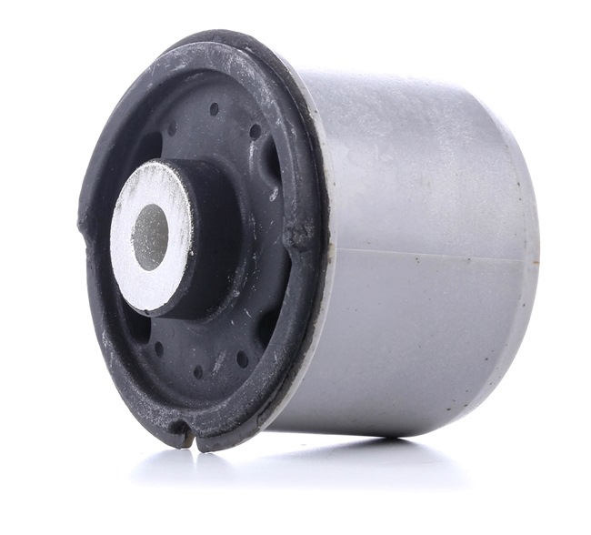 FORD RIDEX Akselskaft lagring 1080M0078