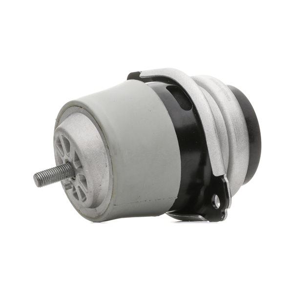 PORSCHE RIDEX Moottorin tukikumi 247E0478