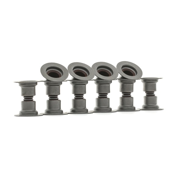 RIDEX 323S0015 Joint de queue de soupape RENAULT Logan I Berline 1.6 (LS0L, LS09, LS0V, LS0P, LS18, LS1S, LS1V, LS1Y,... 105CV 2011