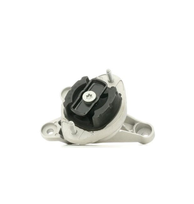 RIDEX 249M0009 Getriebelager Audi A4 8h 3.0 220 PS AVK