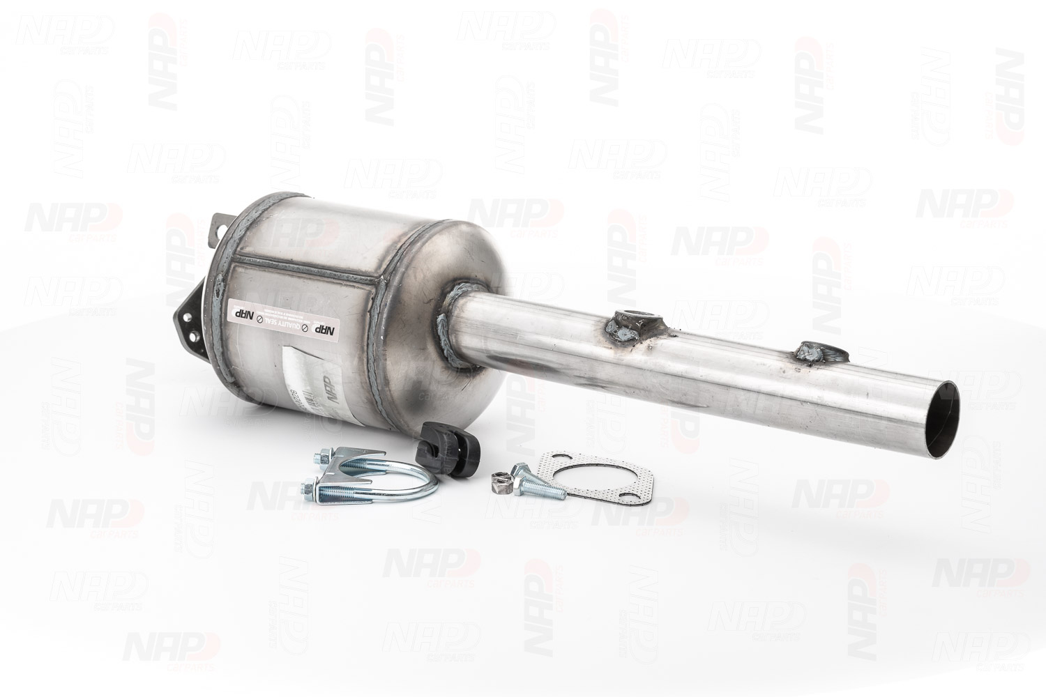 NAP carparts CAD10228 Partikelfilter (DPF) Renault Scenic 2 1.9 dCi 120PS 2005