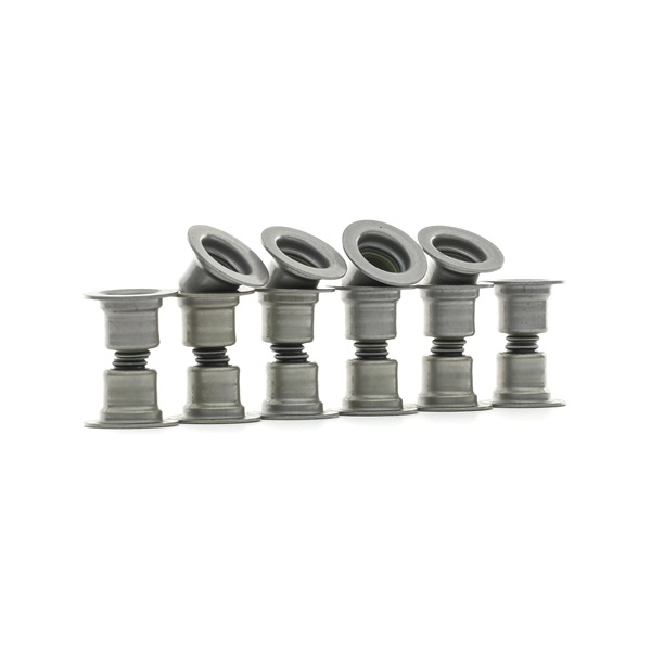FORD STARK Valve stem oil seals SKSSV-4070016