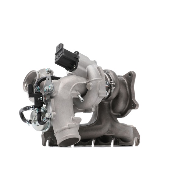RIDEX 2234C10098 Turbocharger Passat B6 Variant 2.0 TFSI 200 PK