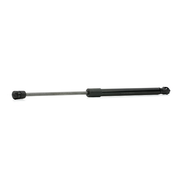 RIDEX Konepellin kaasujouset 514G0156