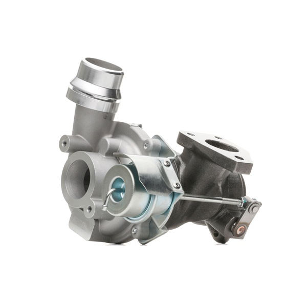 RIDEX 2234C10119 Turbo Dacia Logan US 1.5 dCi 88 cv K9K 892