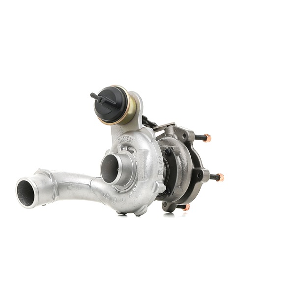 RIDEX REMAN 2234C10134R Turbo Renault Scenic 1 1.9 dCi 102 hp F9Q 733