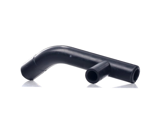 RIDEX 1600H16000022 Slang, vevhusventilation Passat 3a5 1.6 101 hk