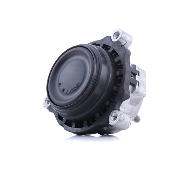 RIDEX 247E0542 Engine mount BMW F30 318 d 136 hp N47 D20 C