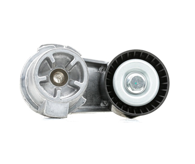 RIDEX 310T0377 Rullo tendicinghia BMW F34 335i xDrive 3.0 326 CV N55 B30 A