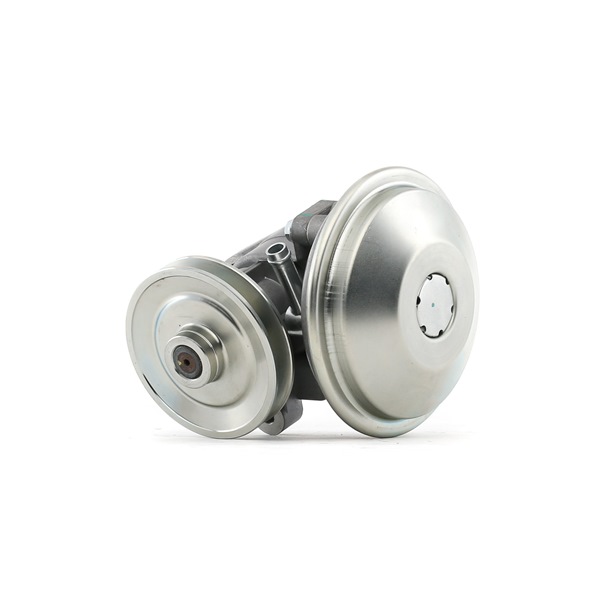 PEUGEOT RIDEX Brake Vacuum Pump 387V0079