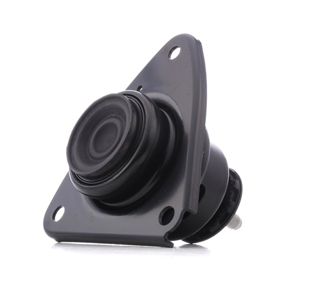 STARK SKEM-0660568 Fasce elastiche 1.6 CVVT 122 CV G4FC