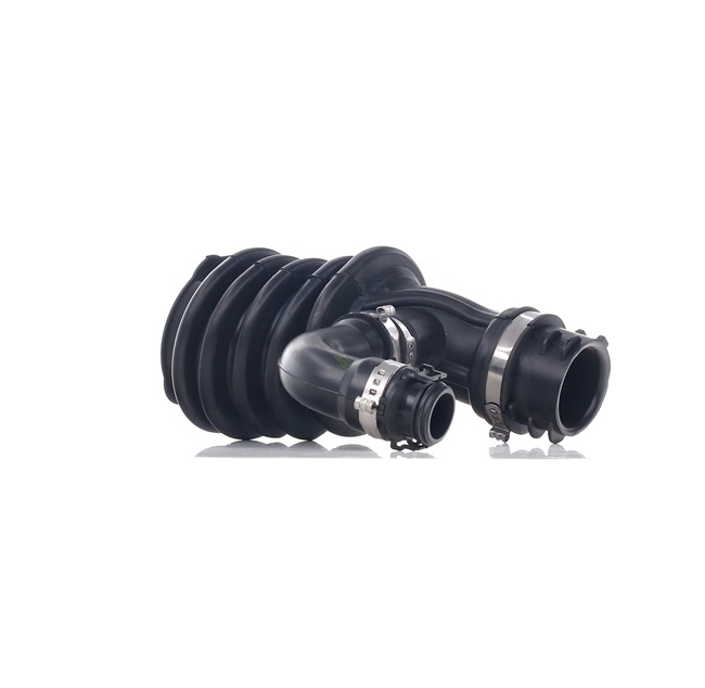 RAPRO R16174 Luftslang Ford C Max DM2 1.6 TDCi 90 hk
