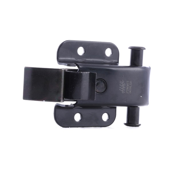 FAST FT95611 Portes composants Mercedes Sprinter 3t Van 213 CDI 2.2 (906.611, 906.613) 129CV 2015