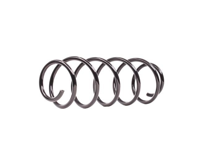 Köp billigt 813065 Skruvfjäder Bakaxel från DACO Germany 550200003R