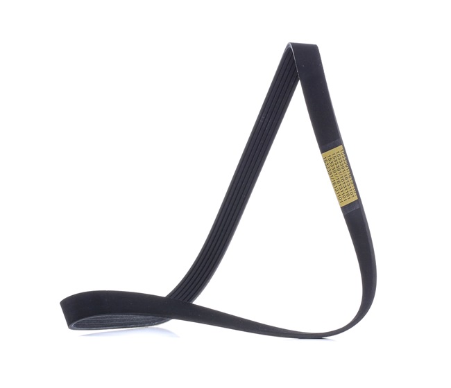 DS RIDEX Ιμάντας poly-v 305P0480