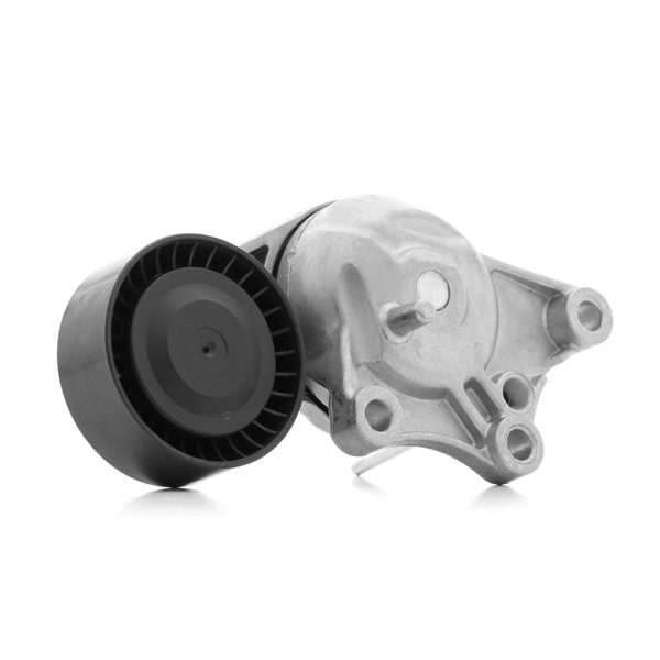 DS RIDEX Spanrol 310T0389