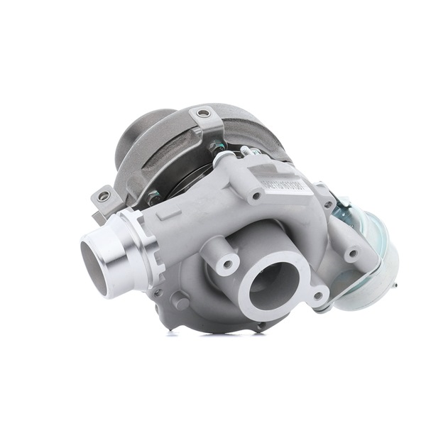 RIDEX 2234C10154 Turbo Renault Scenic 3 1.5 dCi (JZ02, JZ0R) 95 cv K9K 846