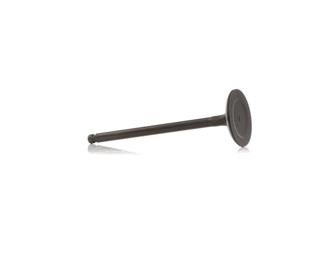 SKINV-3270042 STARK Valvola di aspirazione prezzo