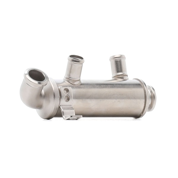 RIDEX 4198E0036 Module-EGR Citroën DS3 3 Portes 1.4 HDi (SA8HP4) 68 CH