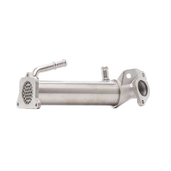 RIDEX 4198E0044 EGR szelep Ford Ranger TKE 2.2 TDCi 131 LE T22DD0P