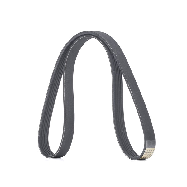 RIDEX 305P0484 Serpentine belt FORD Transit Mk7 Platform / Chassis (V363) 2.2 TDCi 100 hp DRFF