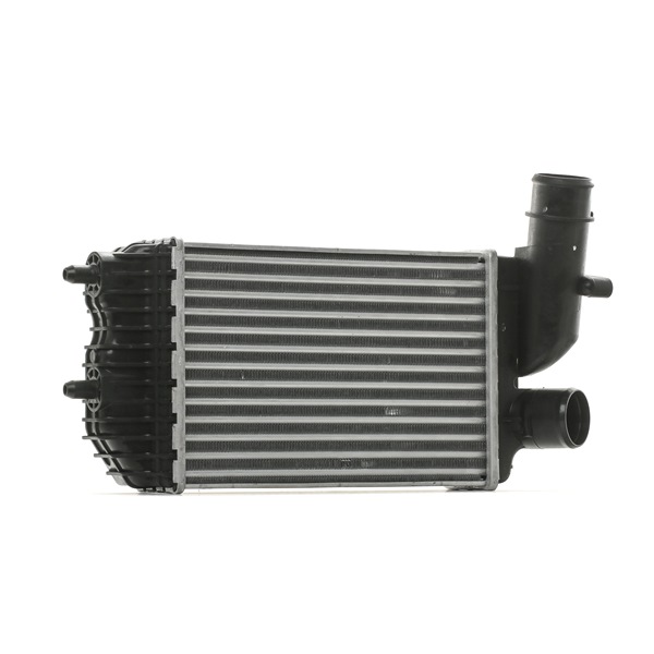 RIDEX 468I0163 Intercooler Fiat Ducato 244 Skåpbil 2.8 JTD 4x4 128 hk 8140.43S