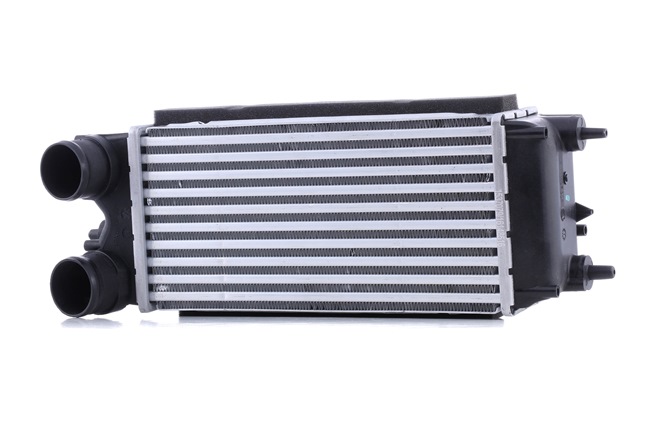 RIDEX 468I0186 Intercooler Ford Ecosport mk2 1.5 EcoBlue TDCi 95 cv XVJD
