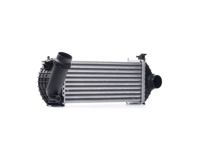 RIDEX 468I0211 Intercooler Renault Kangoo 2 Express 1.5 dCi 90 (FW0G, FW05, FW08, FW11) 90CV 2024