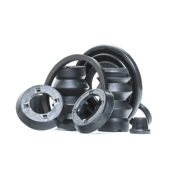 RIDEX 405R0341 Σετ επισκευής, δαγκάνα φρένων Fiat Stilo Combi 1.9 JTD 80 PS