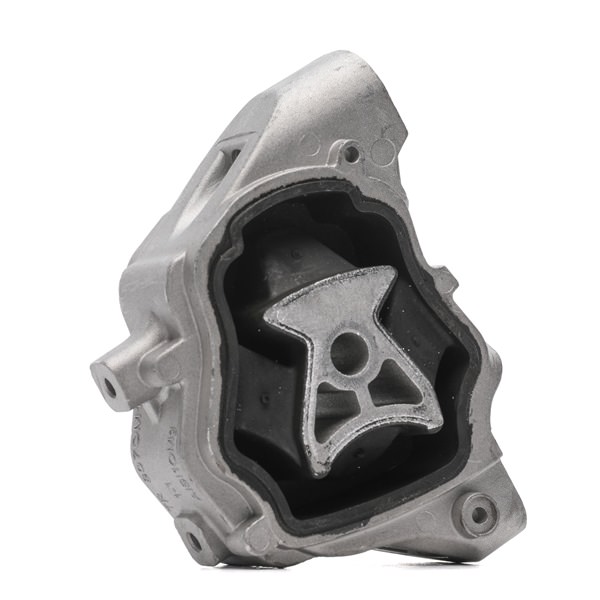 RIDEX 247E0625 Fasce elastiche 3.2 238 CV B 6324 S