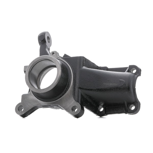 FIAT STARK Radlagergehäuse SKSAW-2370088