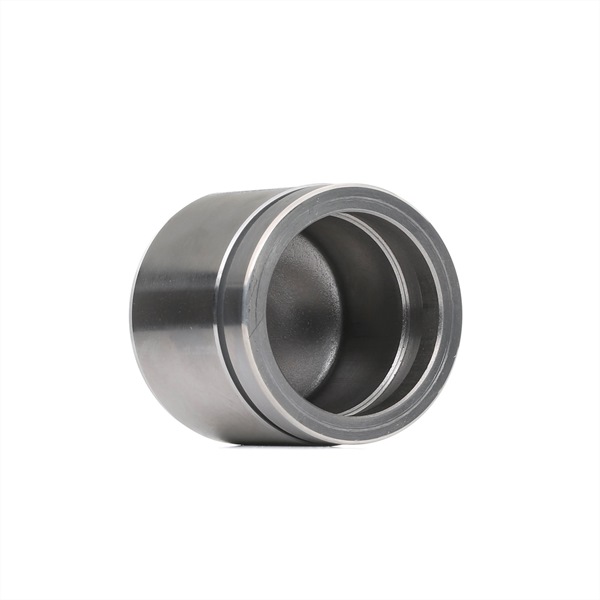 RIDEX 2248P0047 Êmbolo pinça do travão VW T3 Caixa 1.6 TD Syncro 69 cv JX