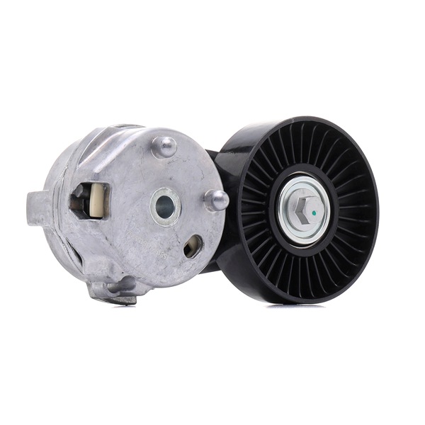 LAND ROVER RIDEX Feszítőgörgő 310T0410