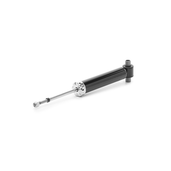 RIDEX 854S17955 Luftfederung 1.7 D 57 PS KY