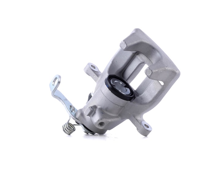DS RIDEX Remtangen 78B1389
